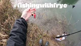 How To Video Setting up your Plunking Rig No More Tangles Great Trick fishingwithfrye [upl. by Kcirddehs]