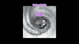 Top 10 The Windiest Typhoon in The World [upl. by Norod]