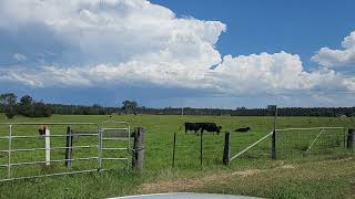 coffs Harbour Storm [upl. by Aneetak]