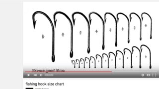 Fishing hook sizes and measurements [upl. by Mencher816]