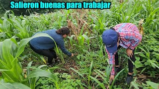 Yolanda dejo humillado a los chicos chapeando😱Niña Magnoli muy contenta que va a terminar [upl. by Beale323]