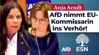 AfD nimmt EUKommissarin ins Verhör – Anja Arndt AfD [upl. by Nallek634]