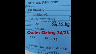 Owies Ozimy 1  Jeszcze nie zasiane a już dylematy [upl. by Estell]