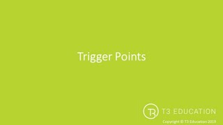 Trigger Point Therapy The Technique amp Process [upl. by Nnaecarg]