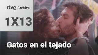 Gatos en el tejado Capítulo 13  Quien tiene un amigo  RTVE Archivo [upl. by Vivi]