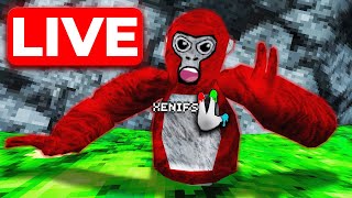 🔴 GORILLA TAG LIVE 🔴 MINIGAMES amp CODES [upl. by Eekcaj230]