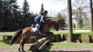 Vielseitigkeitsreiten Geländestrecke Reiten Springpferde Buschreiter Millitary horseriding [upl. by Akiner687]