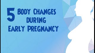 5 Body Changes During Early Pregnancy [upl. by Oigolue]