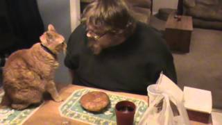 NO KITTY THATS MY POTPIE [upl. by Heidi]