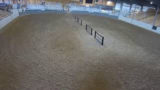 Topeka Livestock Auction Live Stream [upl. by Gnen]