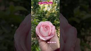 DIY Tissue Rose Flower  Day 33100 of ArtCraft Challenge shorts shortsfeed [upl. by Iggep]