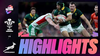 HIGHLIGHTS  WALES V SOUTH AFRICA  AUTUMN NATIONS SERIES [upl. by Rutledge]