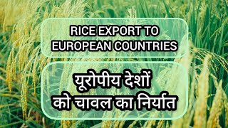 RICE EXPORTS TO EUROPEAN COUNTRIES [upl. by Prowel901]