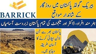 Barrick Gold Corporation Jobs 2024  Barrick Gold Corporation Jobs in Pakistan [upl. by Annawal]