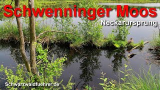 Schwenninger Moos Neckarursprung [upl. by Waers]