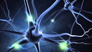 quotMIRACLEquot NERVE REGENERATION  16 Hz ALPHA BINAURAL BEATS MEDITATION MUSIC [upl. by Weissmann]