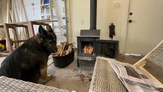 Mornings at the Ranchette…lighting the FISHER baby Bear wood stove [upl. by Esyli]