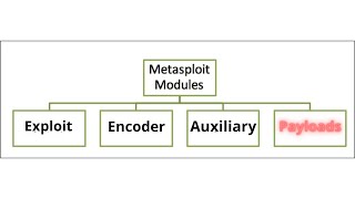 Meet The Metasploit  Payload Modules [upl. by Oswal]