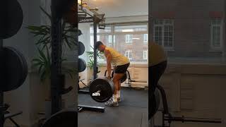 Barbell RDL  Exercise Video Library [upl. by Justino]