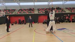 Campeonato Aragón Kendo 2024 Semifinal liguilla Alex Alonso vs Ruben Borque [upl. by Inavihs]