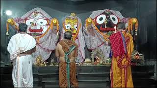 ଆଜି 📅 12Oct2024  🙏 Sandhya Aarti Darshan Jagannath Puri [upl. by Leaw]