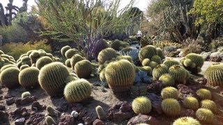 Huntington Botanical Gardens Tour [upl. by Latsryc]