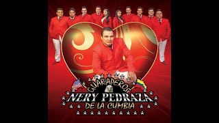 Nery Pedraza Los Guraperos de la Cumbia  Romería [upl. by Magnusson454]