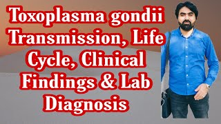 Lec9  Toxoplasma gondii  Life cycle  Transmission  Clinical finding  Lab diagnosis UrduHindi [upl. by Zetana]