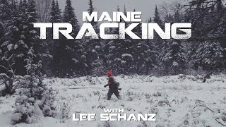 Tracking Bucks in Maine with Maine Guide Lee Schanz Jr  BIG WOODS BUCKS [upl. by Annayi]