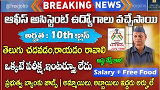 10th అర్హతతో ఆఫీస్ అసిస్టెంట్ ఉద్యోగాలు  Latest Jobs In Telugu  Repco Bank Jobs  Govt Job Search [upl. by Nilok]