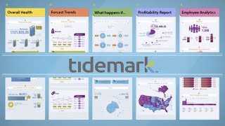 Tidemark Enterprise Analytics Apps  Overview [upl. by Adnilrem705]