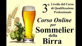 3° Livello Sommelier Birra [upl. by Brenner930]