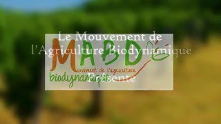 La notion de processus en agronomie et en biodynamie  Dominique Massenot [upl. by Ahsimed]