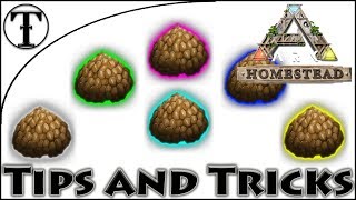 Fast Kibble Rework Guide  Ark  Survival Evolved Tips and Tricks [upl. by Oilicec746]