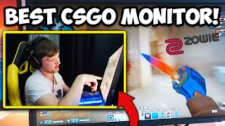 BEST MONITOR FOR CSGO BenQ Zowie XL2746S 240HZ Review [upl. by Neddie]