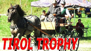 Tirol Trophy im Gespannfahren  Erlenhof Kirchberg in Tirol [upl. by Terena221]