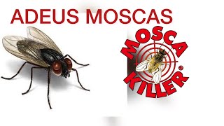 COMO ACABAR COM AS MOSCAS  MOSCA KILLER [upl. by Gordan]