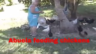 Yauco Puerto Rico Abuela feeding chickens [upl. by Pavlov]