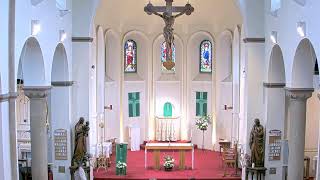 St Joseph amp Swithun Mass [upl. by Ielak]