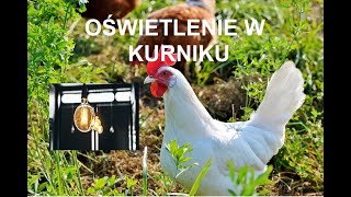 Odcinek 241 OĹšWIETLENIE W KURNIKU JAKIE WYBRAÄ† HODOWLA KUR [upl. by Eimmas347]