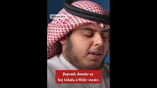 Duygusal Rahman Suresi OkuyuşuCabir elKattan Rahman127ayetler Jaber al Kattan [upl. by Zsazsa]