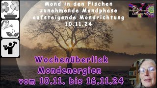 Wochenüberblick der Mondenergien vom 1011 bis 161124 [upl. by Tebzil]