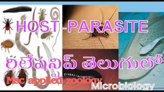 Host and parasite relationship teluguparasitismmedtelugu3599 [upl. by Lamrouex]