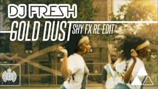 DJ Fresh  Gold Dust Shy FX ReEdit [upl. by Hoopen207]