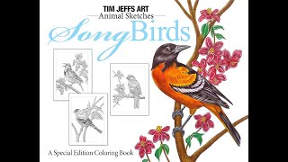 Flip Through of Song Birds Coloring Book by Tim Jeffs [upl. by Ognimod]