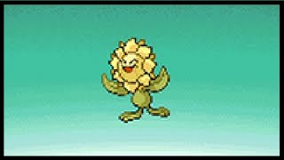 I CAUGHT EVERY SHINY using the Pokeradar in Pokemon Platinum [upl. by Wileen721]