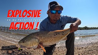 Explosive Redfish Action This lure finds them evertime [upl. by Etoile]