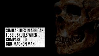 Similarities in African fossil skulls when compared to CroMagnon Man [upl. by Theressa]