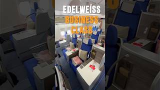 Edelweiss Business Class Das ist also unser Langstreckenflug was eigentlich ein Zubringer ist [upl. by Erialcyram]