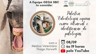 ODONTOLOGIA EQUINA EXAME INTRAORAL E IDENTIFICAÇÃO DE PATOLOGIAS [upl. by Rayshell726]